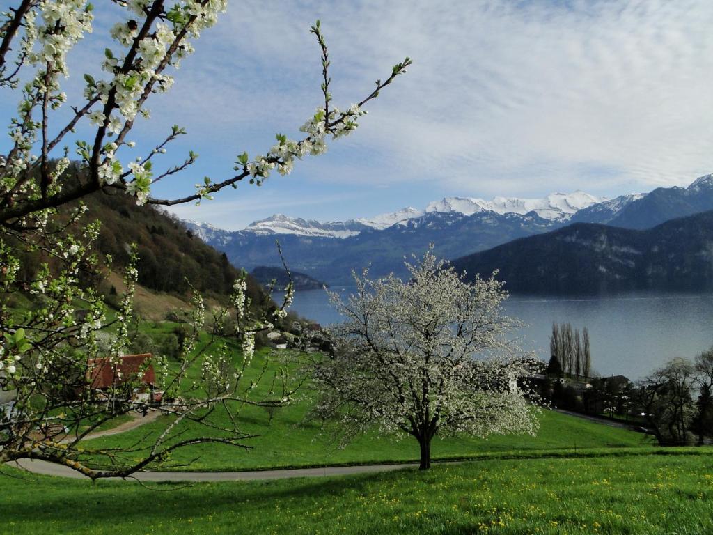 Seehotel Gotthard Weggis Exterior foto